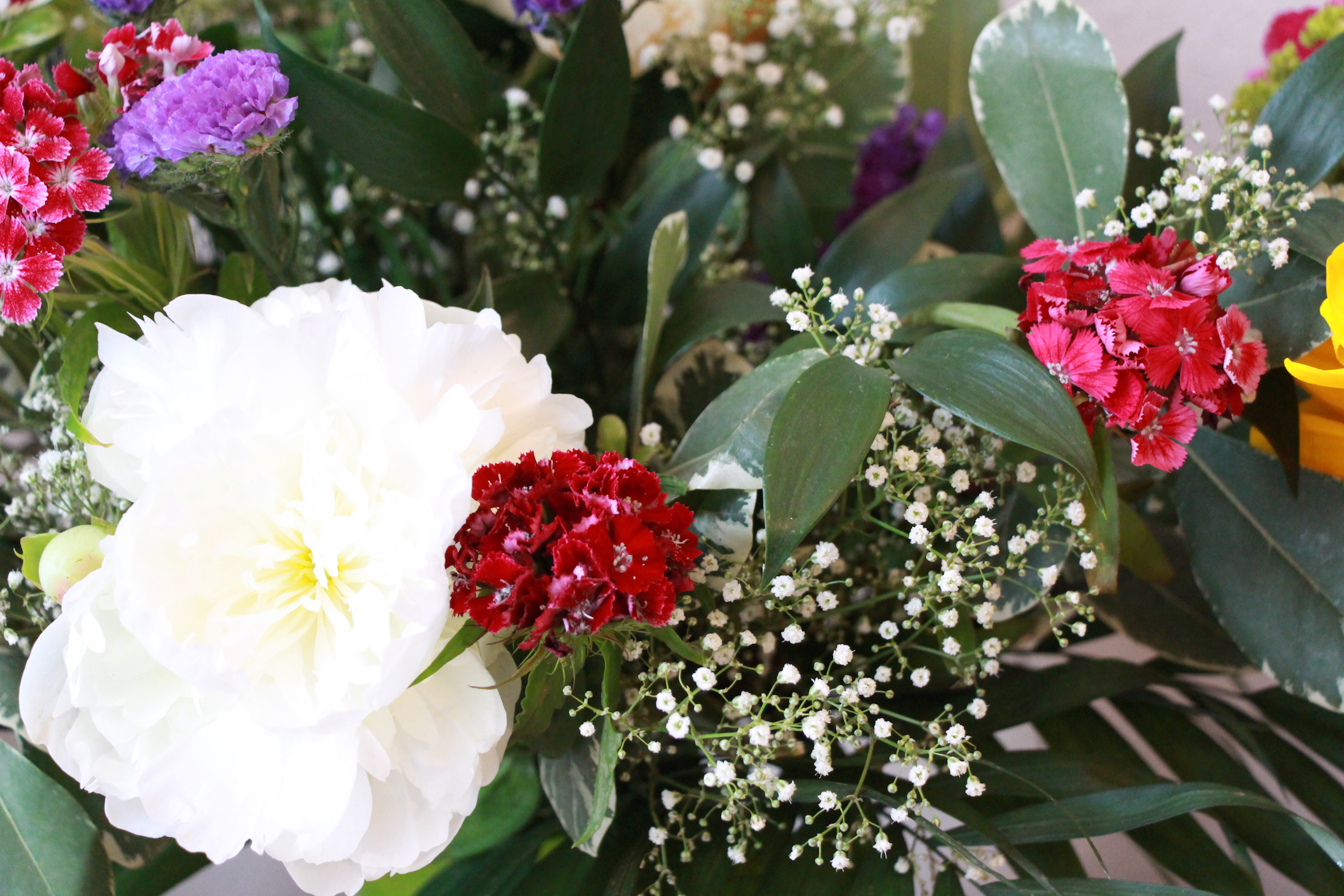 Finde deine Berufung